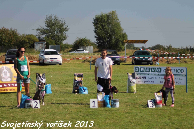 Svojetínský voříšek